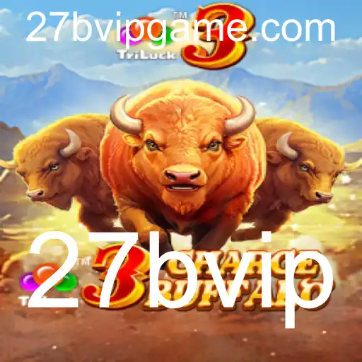 Explorando o Mundo de 3ChargeBuffalo: Um Guia Completo